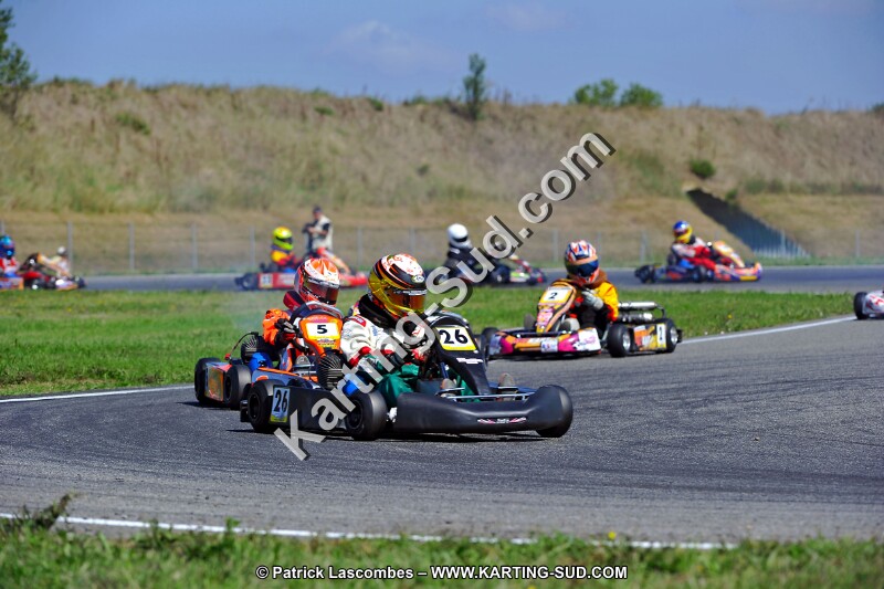 DSC_ (1307).jpg